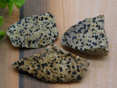 DALMATION JASPER ROCK STONE LAPIDARY SPECIMEN