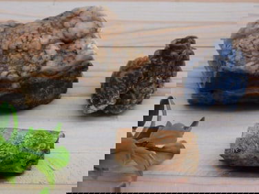 MIXED ROUGH LOT ROCK STONE LAPIDARY SPECIMEN