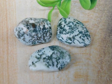 TREE AGATE ROCK STONE LAPIDARY SPECIMEN