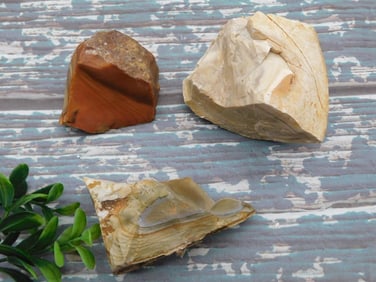 JASPER ROCK STONE LAPIDARY SPECIMEN