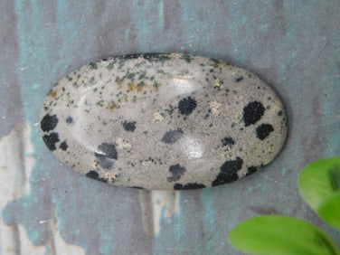 DALMATION JASPER CABOCHON ROCK STONE LAPIDARY SPECIMEN
