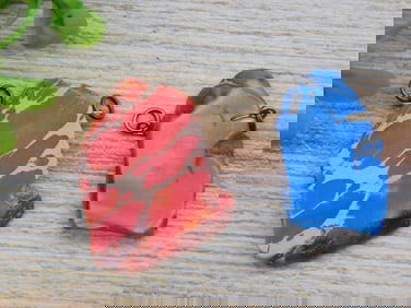 IMPRESSION JASPER PENDANTS ROCK STONE LAPIDARY SPECIMEN