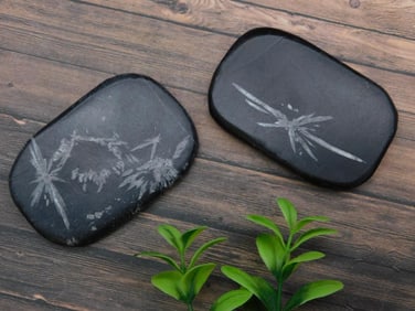 CHRYSANTHEMUM ROCK STONE LAPIDARY SPECIMEN