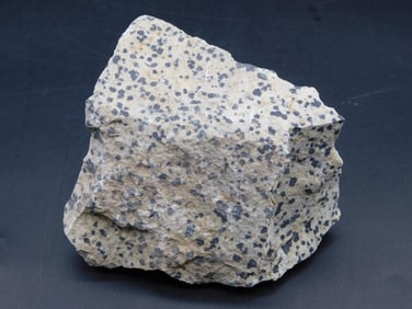 DALMATION JASPER ROCK STONE LAPIDARY SPECIMEN