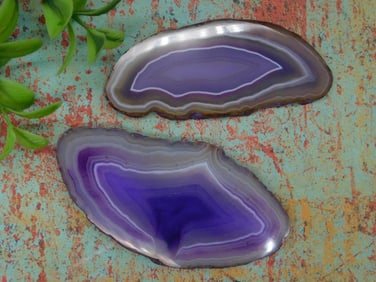AGATE SLICES ROCK STONE LAPIDARY SPECIMEN