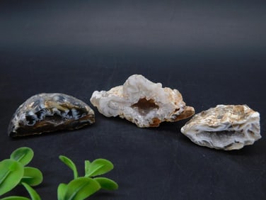 OCO GEODES ROCK STONE LAPIDARY SPECIMEN