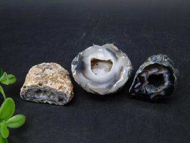 OCO GEODES ROCK STONE LAPIDARY SPECIMEN