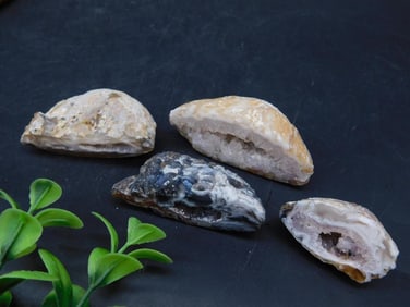 OCO GEODES ROCK STONE LAPIDARY SPECIMEN