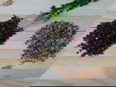 MIXED LOT ROCK STONE LAPIDARY SPECIMEN