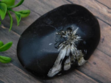 CHRYSANTHEMUM ROCK STONE LAPIDARY SPECIMEN