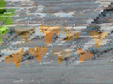 SHARK TEETH PENDANTS ROCK STONE LAPIDARY SPECIMEN