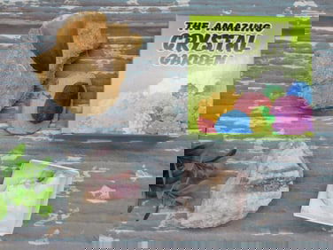 MIXED LOT ROCK STONE LAPIDARY SPECIMEN