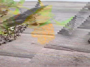 Gold Tone Textured Ring Design