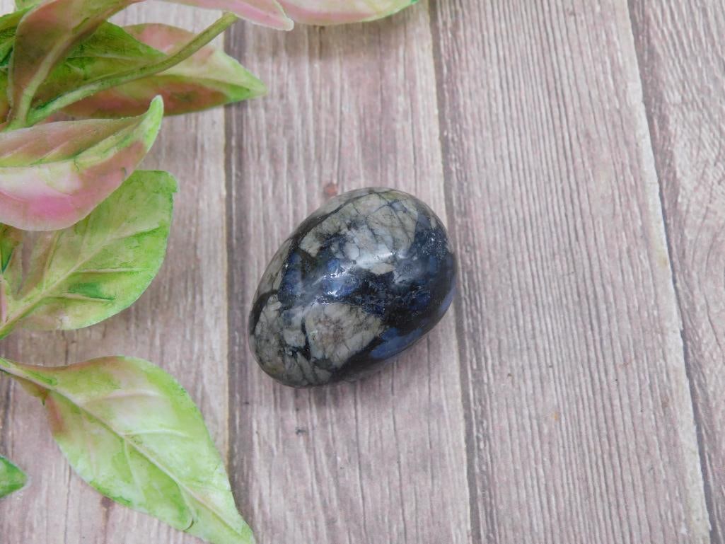 Polished Black and Gray Stone Egg, 20 Grams: Polished Black and Gray Stone Egg, 20 Grams