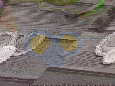 Mexican Peso Coins Set Including $1 and $2 Denominations