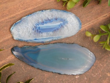 Agate Slices Rock Stone Lapidary Specimen