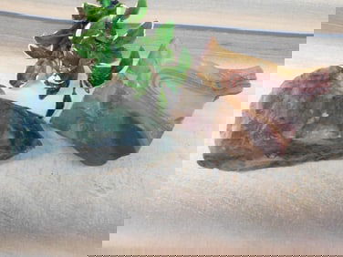 MIXED LOT ROCK STONE LAPIDARY SPECIMEN