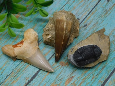 MIXED LOT ROCK STONE LAPIDARY SPECIMEN