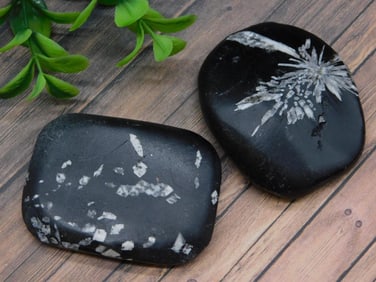 CHRYSANTHEMUM ROCK STONE LAPIDARY SPECIMEN