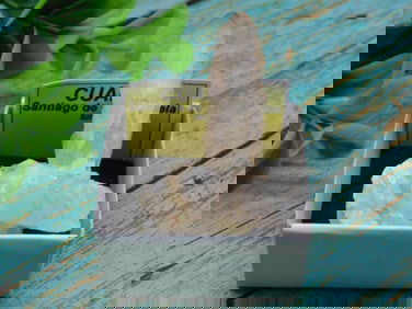 CUARZO ROCK STONE LAPIDARY SPECIMEN