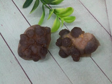 BOTRYOIDAL CHALCEDONY ROCK STONE LAPIDARY SPECIMEN