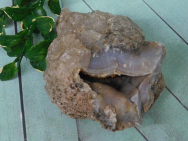 ROCK STONE LAPIDARY SPECIMEN