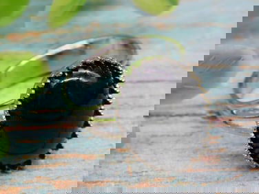 STONE RING ROCK STONE LAPIDARY SPECIMEN