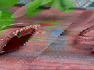 STONE RING ROCK STONE LAPIDARY SPECIMEN