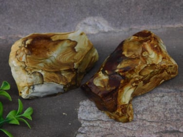 Two Jasper Rock Specimens for Display or Collection