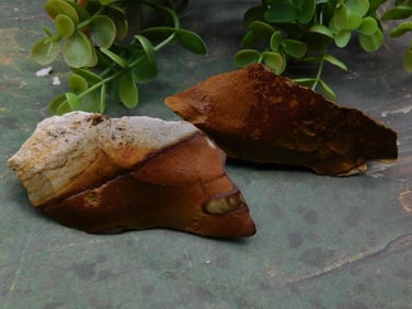 Jasper Rock Stone Lapidary Specimen