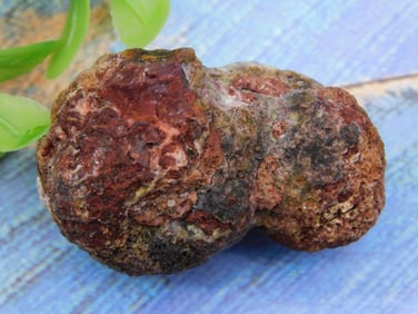 Rock Stone Lapidary Specimen