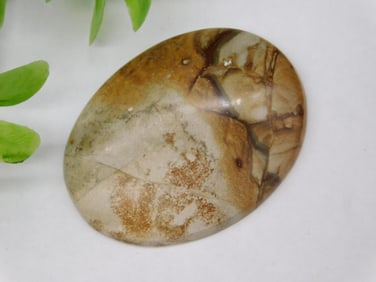 Jasper Cabochon ROCK STONE LAPIDARY SPECIMEN