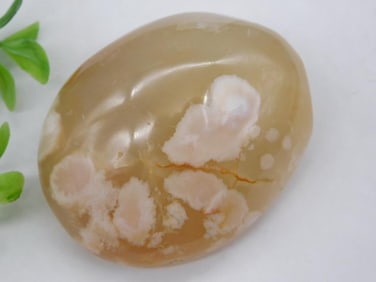 Flower Petal Agate Rock Stone Lapidary Specimen