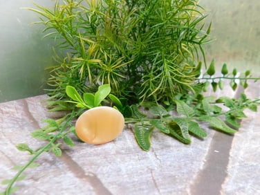 JEWELRY SALE! ROCK STONE LAPIDARY SPECIMEN