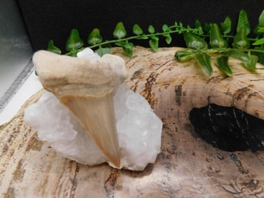 JEWELRY SALE! ROCK STONE LAPIDARY SPECIMEN