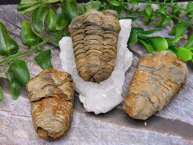 JEWELRY SALE! ROCK STONE LAPIDARY SPECIMEN