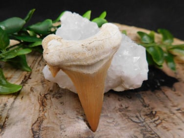 JEWELRY SALE! ROCK STONE LAPIDARY SPECIMEN