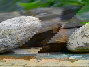 JEWELRY SALE! ROCK STONE LAPIDARY SPECIMEN