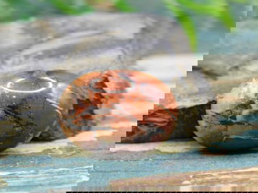 JEWELRY SALE! ROCK STONE LAPIDARY SPECIMEN