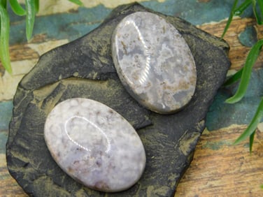 JEWELRY SALE! ROCK STONE LAPIDARY SPECIMEN