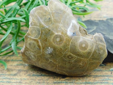 JEWELRY SALE! ROCK STONE LAPIDARY SPECIMEN