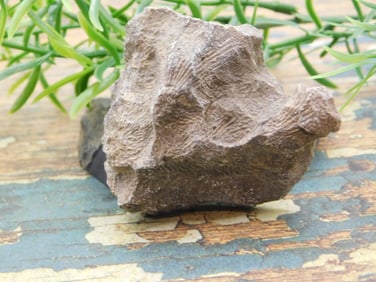 JEWELRY SALE! ROCK STONE LAPIDARY SPECIMEN