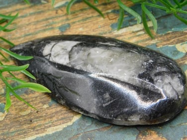JEWELRY SALE! ROCK STONE LAPIDARY SPECIMEN