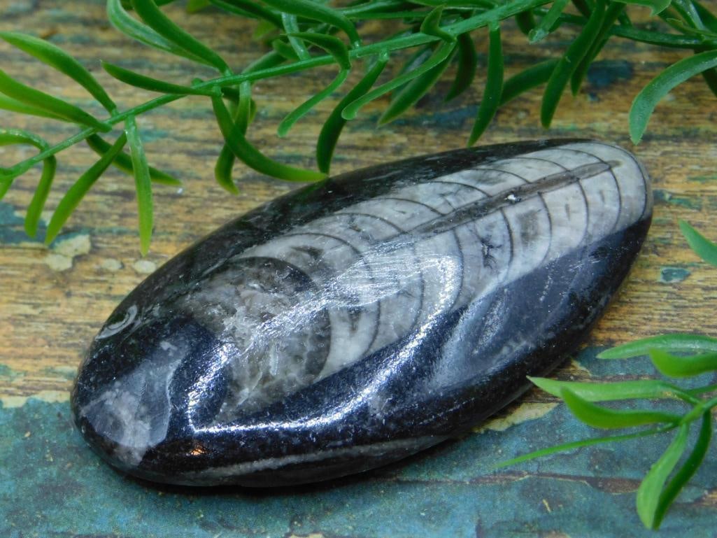 JEWELRY SALE! ROCK STONE LAPIDARY SPECIMEN: JEWELRY SALE! ROCK STONE LAPIDARY SPECIMEN