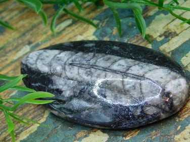 JEWELRY SALE! ROCK STONE LAPIDARY SPECIMEN