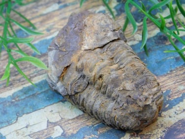 JEWELRY SALE! ROCK STONE LAPIDARY SPECIMEN