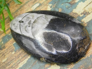 JEWELRY SALE! ROCK STONE LAPIDARY SPECIMEN