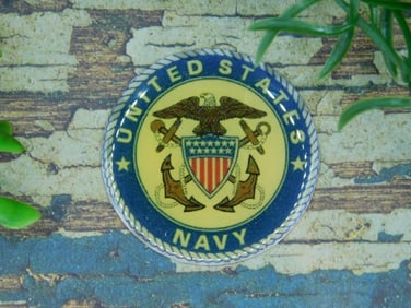 UNITED STATES NAVY CABOCHON ROCK STONE LAPIDARY SPECIMEN