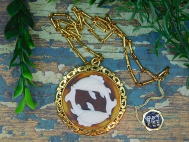 PISCES PENDANT ON CHAIN NECKLACE ROCK STONE LAPIDARY SPECIMEN