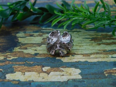 RING ROCK STONE LAPIDARY SPECIMEN